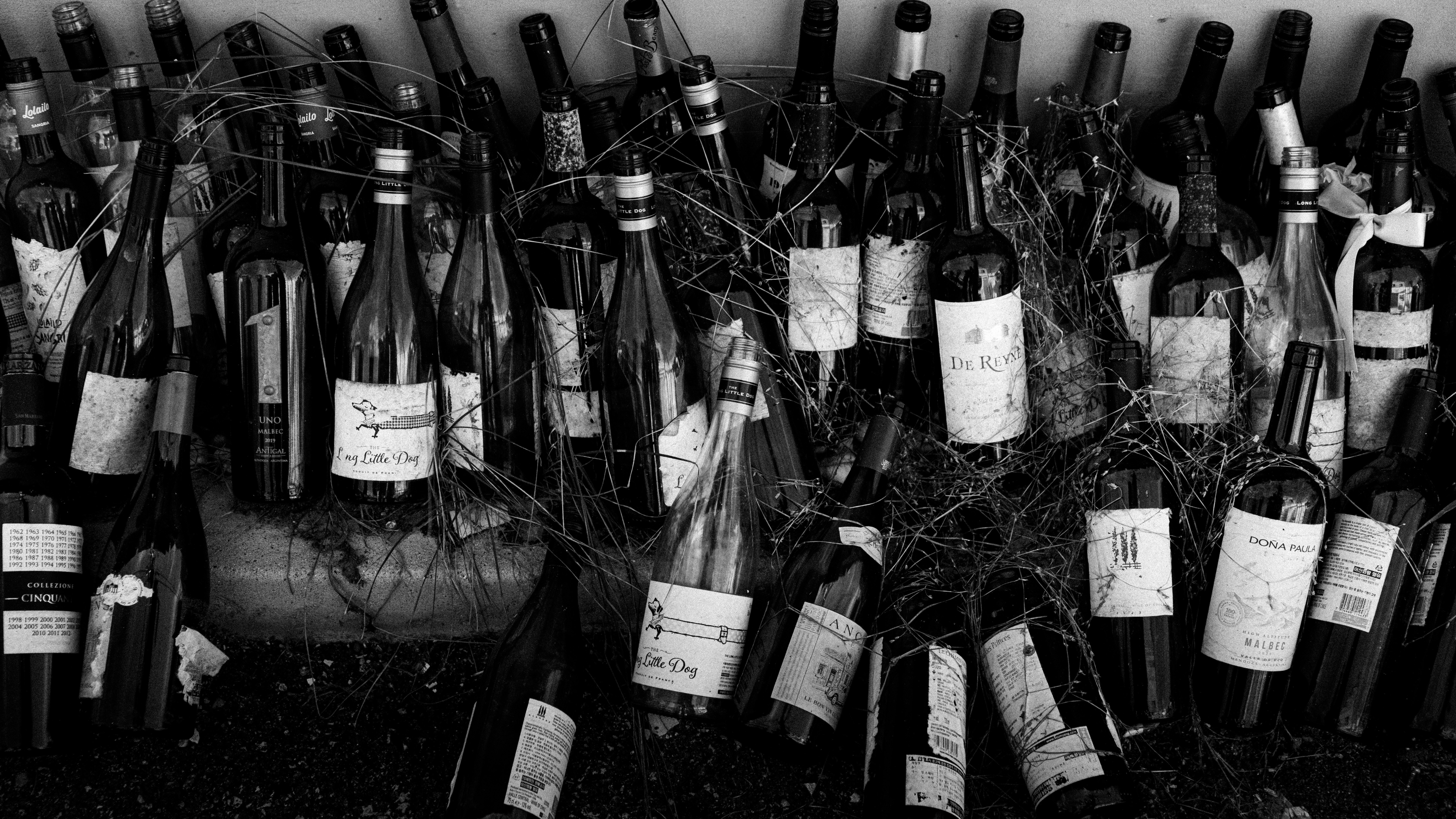 Rückblick Weingarten Recklinghausen e.K.