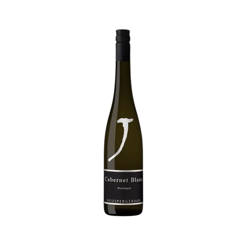Cabernet Blanc 2024 trocken Pfalz – Weißwein 0,75 l